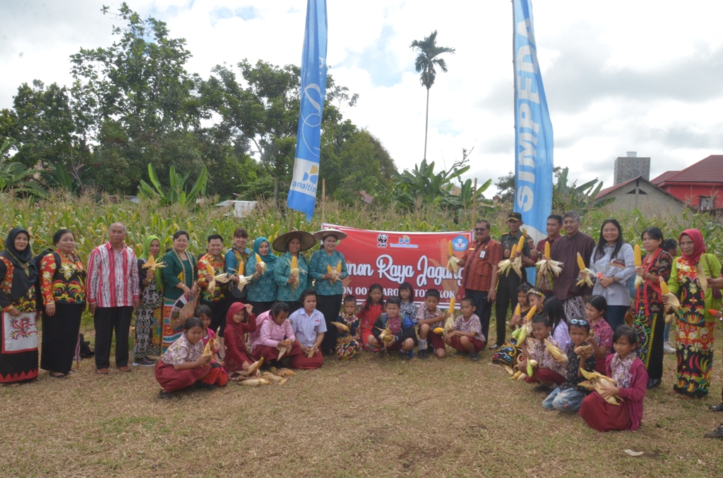 Panen Jagung di Kebun Sekolah: Motivasi Berkebun Berkelanjutan bagi Siswa